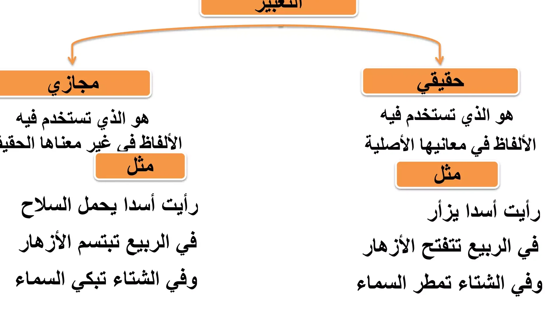 أمثلة مذكر مجازي في اللغة العربية وأهميتها